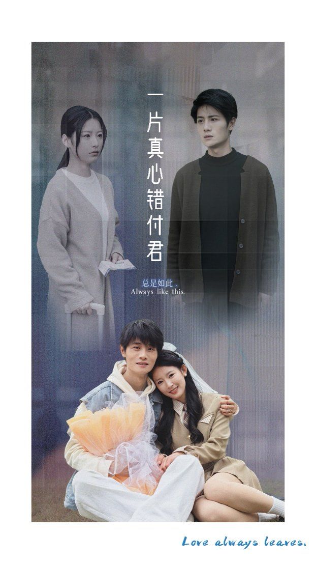 一片真心錯(cuò)付君(全集)