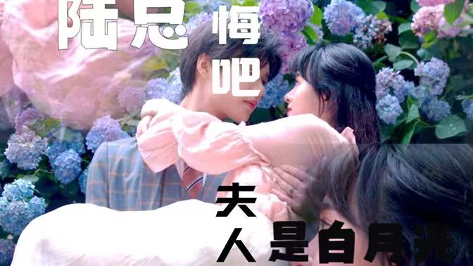 陸總懺悔吧，夫人才是白月光(全集)