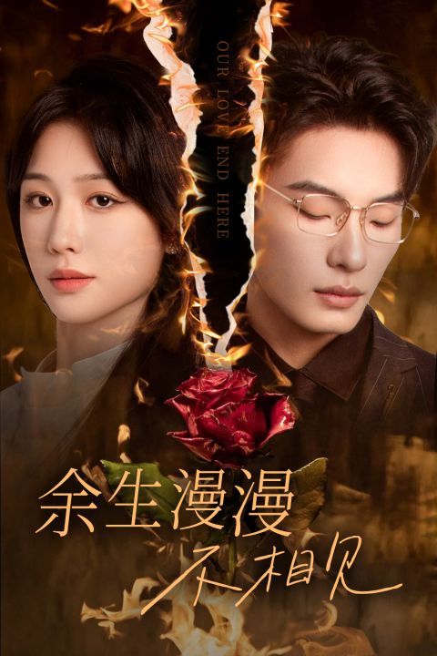 余生漫漫不相見(jiàn)（我們的愛(ài)到此為止）(全集)