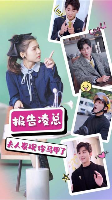 報(bào)告凌總，夫人發(fā)現(xiàn)你馬甲了(全集)