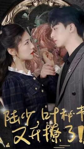 陸少，葉秘書(shū)又開(kāi)撩了(全集)