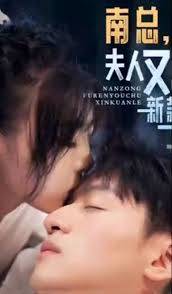 南總，夫人又出新款了(全集)