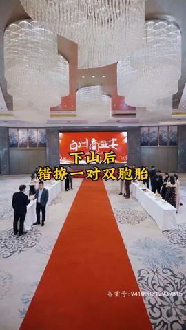 下山后，錯(cuò)撩一對雙胞胎(全集)