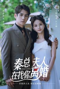 秦總，夫人在找你離婚(全集)