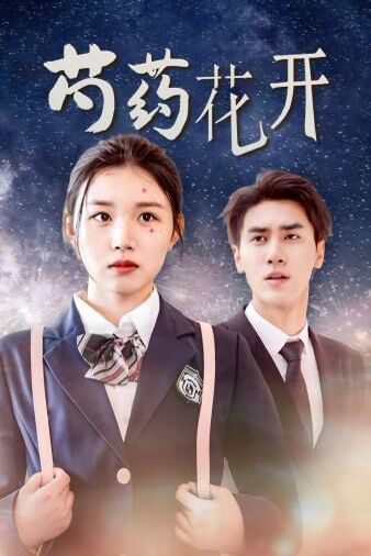 芍藥花開&火光中的芍藥花(全集)