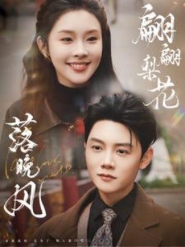 翩翩梨花落晚風(fēng)(全集)