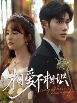 相愛不相識(shí)(全集)