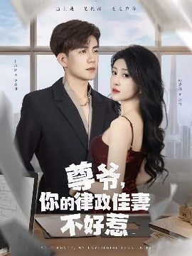 尊爺，你的律政嬌妻不好惹(全集)