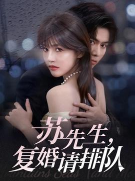 蘇先生，復婚請排隊(全集)