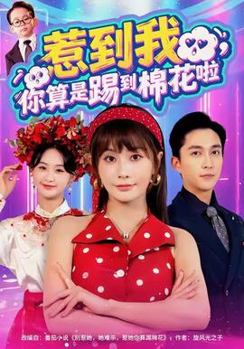 惹到我，你算是踢到棉花啦(全集)