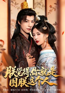 朕覺得，你就是圖朕這個人(全集)