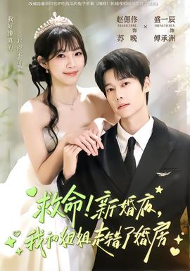 救命！新婚夜，我和姐姐走錯(cuò)了婚房(全集)
