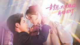 封總，太太跟你離婚很久了(全集)