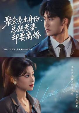 聚會(huì)亮出身份，總裁老婆卻要離婚(全集)
